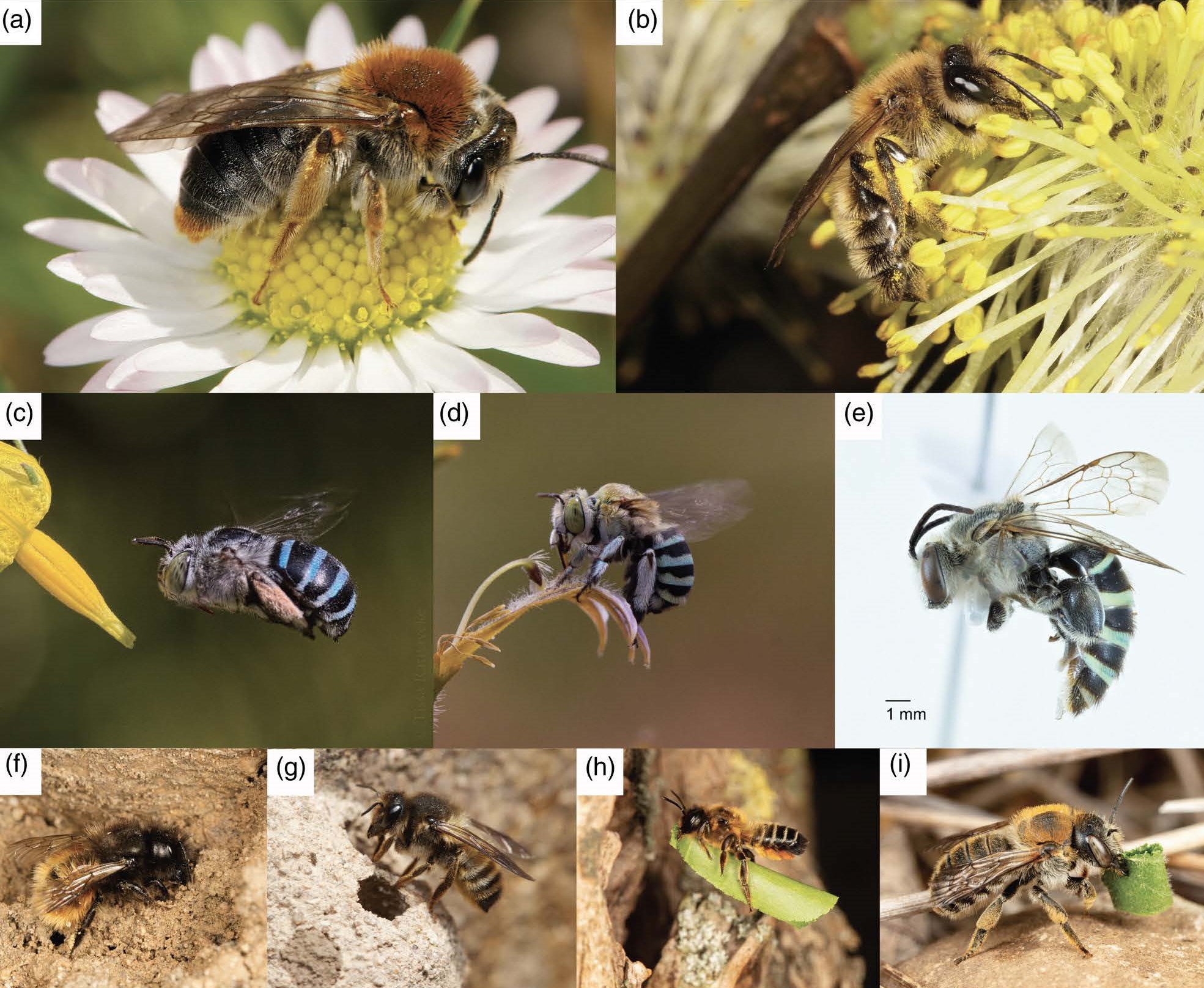 Bio Ecosystem – DEPARTMENT OF BIOLOGY